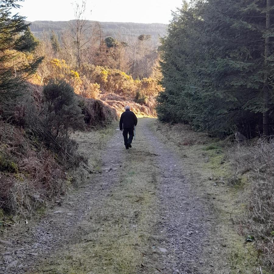 Shadowvale E34X773 Bed and Breakfast Tipperary Exteriör bild