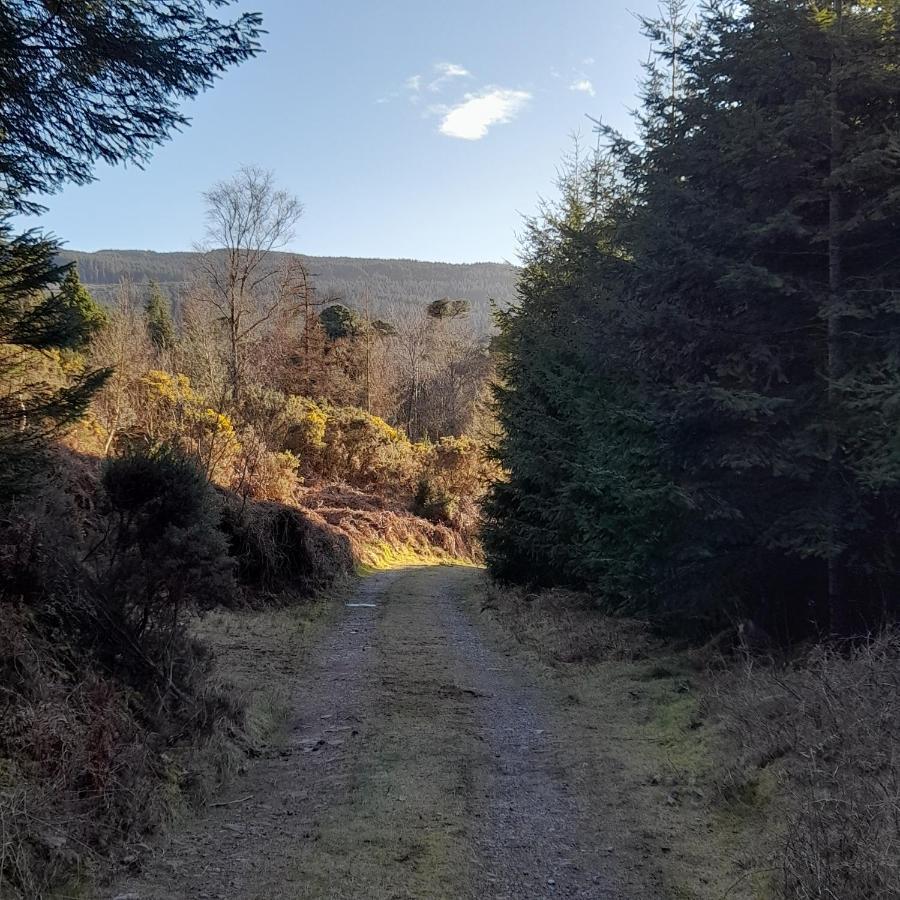 Shadowvale E34X773 Bed and Breakfast Tipperary Exteriör bild