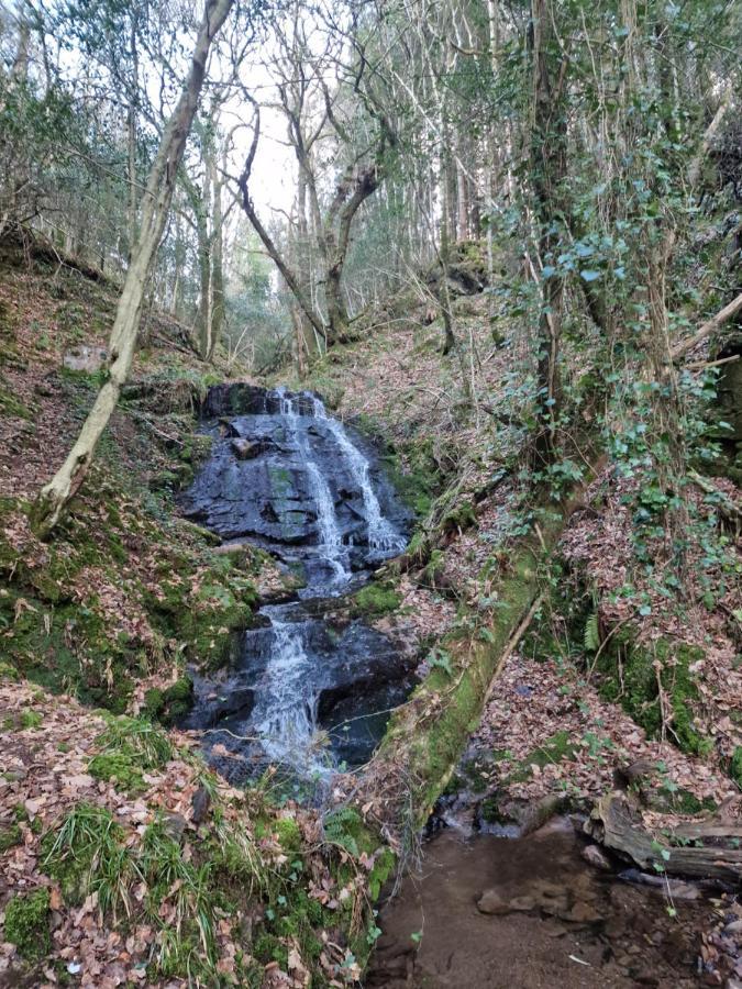 Shadowvale E34X773 Bed and Breakfast Tipperary Exteriör bild